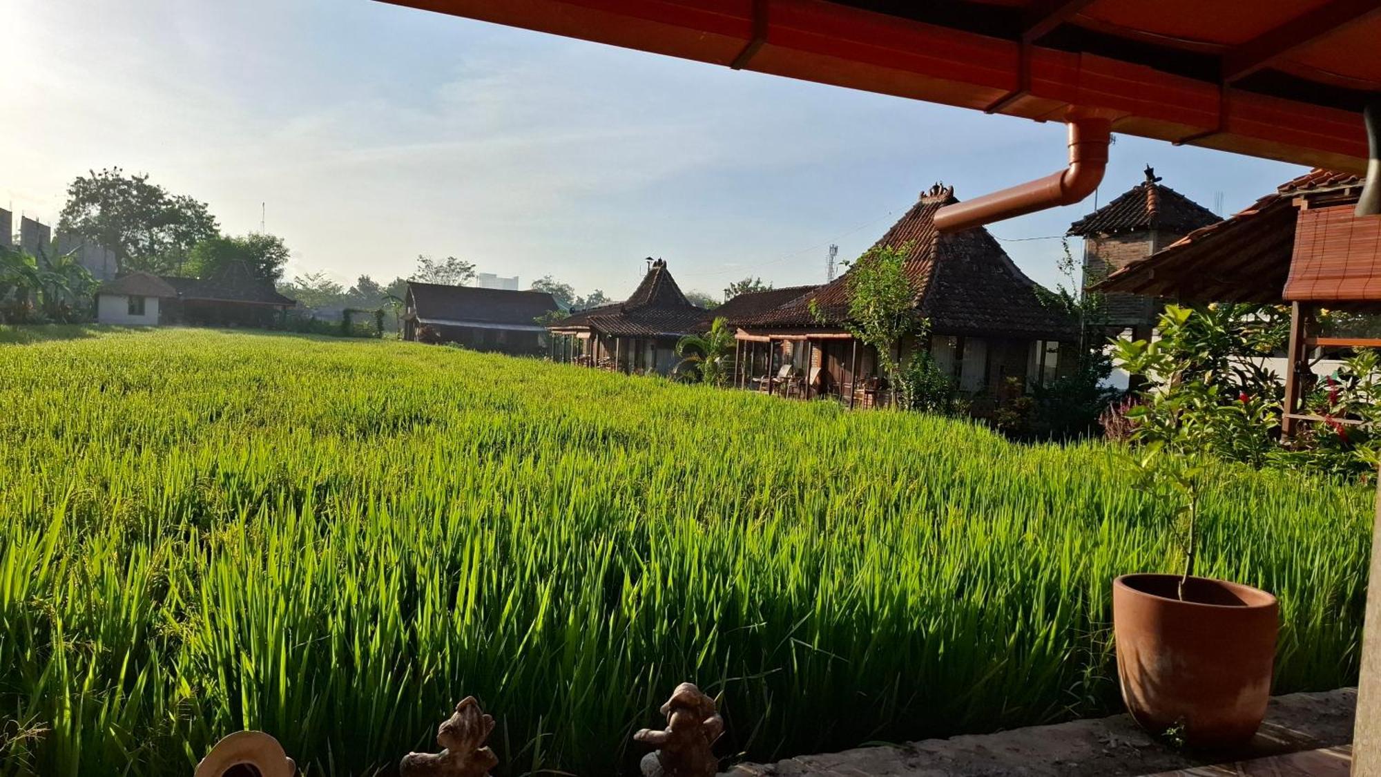 Alamanda Family Villas, Pool & Local Tours Jogjakarta Buitenkant foto