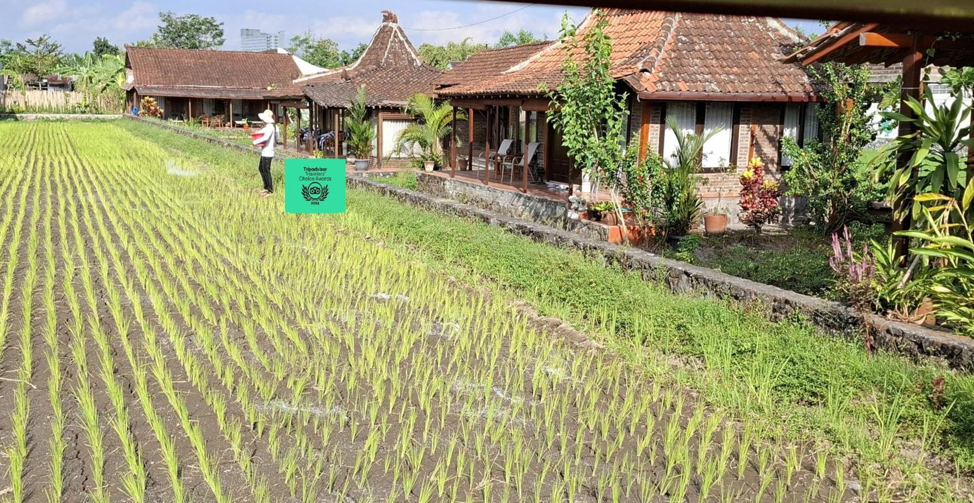 Alamanda Family Villas, Pool & Local Tours Jogjakarta Buitenkant foto