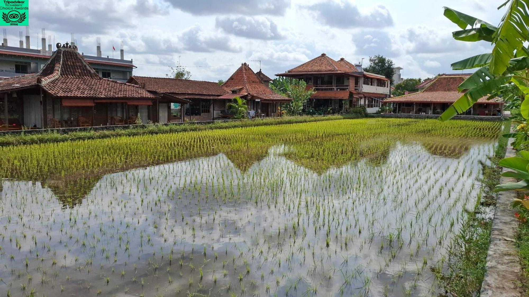 Alamanda Family Villas, Pool & Local Tours Jogjakarta Buitenkant foto
