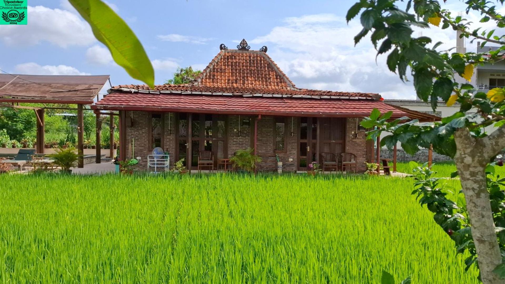 Alamanda Family Villas, Pool & Local Tours Jogjakarta Buitenkant foto