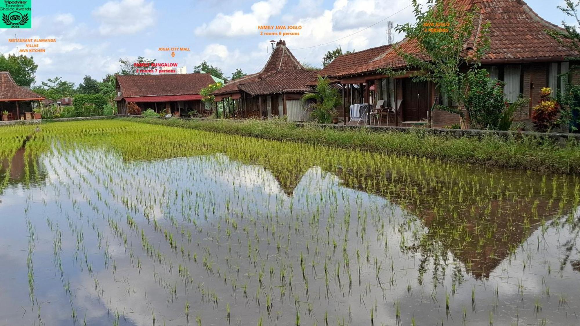 Alamanda Family Villas, Pool & Local Tours Jogjakarta Buitenkant foto