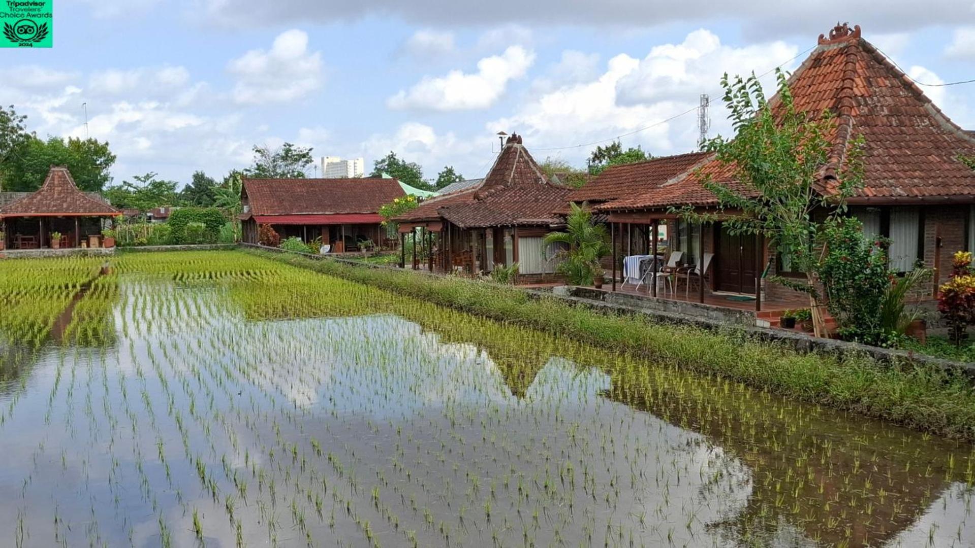 Alamanda Family Villas, Pool & Local Tours Jogjakarta Buitenkant foto