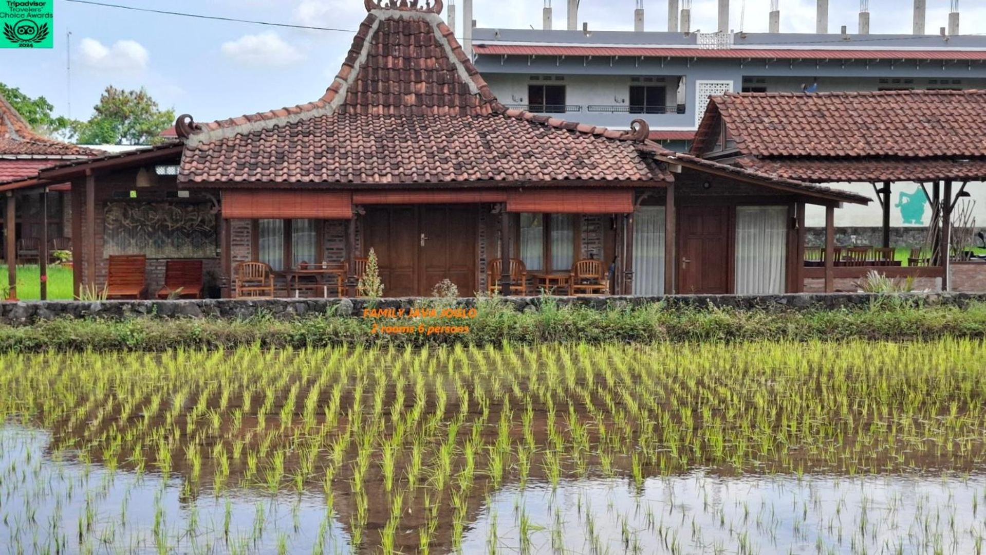 Alamanda Family Villas, Pool & Local Tours Jogjakarta Buitenkant foto